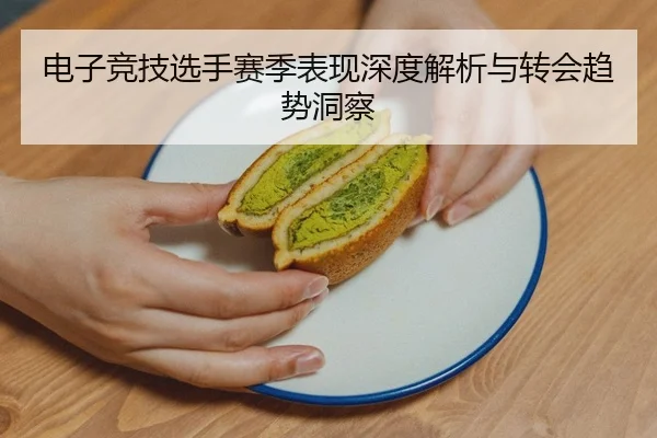 电子竞技选手赛季表现深度解析与转会趋势洞察